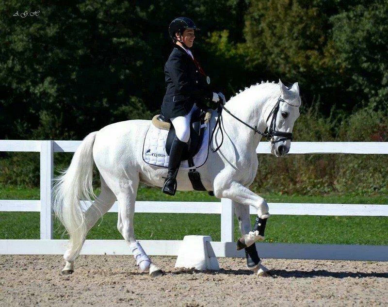 Tres Navarros, al Campeonato de Europa de Doma Clásica